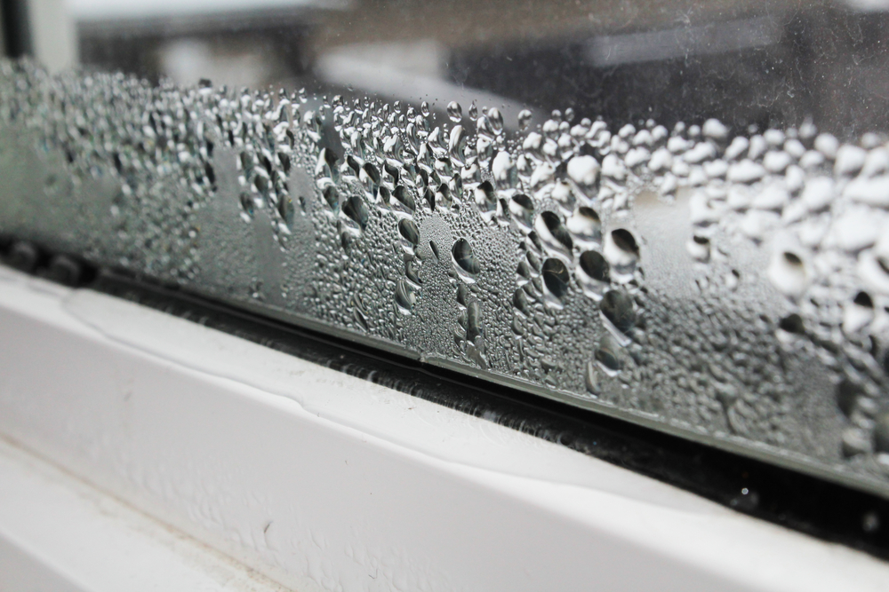 Water,pooling,from,window,condensation.