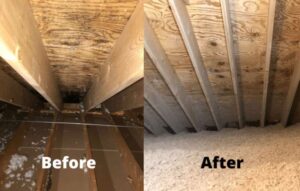 Mold In Attic Before And After Moisture Vapor Condensation